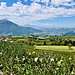 Herrliches Panorama im leichten Auf und Ab