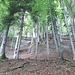 Oberhalb davon ist der Wanderweg
