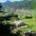 Castello della Rocca di Baiedo ( resti ) 
