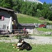 il vero " custode " del Rifugio Riva
