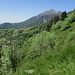 dalla Chiesetta di San Calimero : panoramica