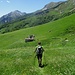discesa dal laghetto verso Prabello di Sopra