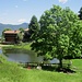 Alpe Cova