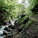 Im Traufbergtobel