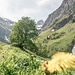 kleiner Abstecher weiter dem Fahrweg hinterher