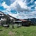 Kräutersalpe nebenHütte