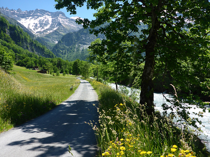 Der Sernf entlang Fotos
