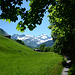 Lauschige Wege