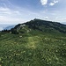 nun nur noch auf den letzten, völlig überlaufenen Gipfel der Rigi Kulm