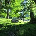 Nel bosco tra il Crotto Dangri e il nucleo di Provego si incontrano molti castagni secolari.