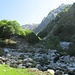 Qui una frana si è portata via un bel pezzo di riva del torrente e ogni traccia scampare. Nella salita ci siamo spostati sul  lato opposto, con qualche problema nell’attraversare il torrente, mentre al ritorno ci manterremo sempre sulla riva orografica destra.