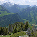 Abstieg auf Schrofen und Gras über den oberen Laubspitz SW-Rücken: unten lauert schon der sperrige Wald, darüber u.a. rechts der Dent du Bourgo, in der Mitte der Plan du Tissiniva, links nochmals Vanil Noir und Folliéran-Brenleire, wo noch viel Schnee liegt