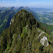 Blick vom Vanil du Gros Ladrey zurück zur Pointe sur le Roc, dem Grenzgipfel zwischen Les Vanils und Les Dents Vertes. Über Les Tros Dents Le Moléson und Dent de Lys, rechts vorne Le Braconnier, hinten Charmey, Broc und Bulle, daruber Les Alpettes und Le Niremont