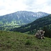 Kühgundgrat über Oberjoch