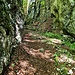 Enge Wege führen durch die Wolfsschlucht