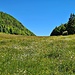 Die Szenerie öffnet sich nach der Schlucht