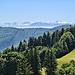 Eine tolle Fernsicht kurz nach Obere Tannmatt