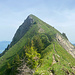 Blick zum Güpfi im Aufstieg