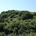Blick zum Monte Acuto.