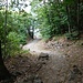 in discesa verso Vico Morcote