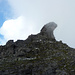 Spannend geformter Gipfel - Wildseehorn 5