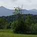Blick zu den Ammergauern