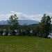 Am Nordufer des Staffelsees - am Südhang des Steigenbergs