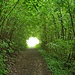 Licht am Ende des Blättertunnels