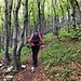Im Aufstieg zum Veliki Zavižan - Größtenteils geht's durch Wald.