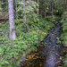 An der schön gelegenen Saulochhütte (links) veschpern wir, queren dann den Hundsbach und ...