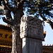 Eine Stele im Pusading-Tempel (菩萨顶).