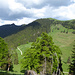 Seekarkreuz
