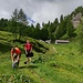 Verso l'Alpe Misanco