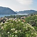 Vista sul Lago di Como.