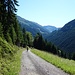 ...zuerst auf Forststrasse