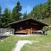kleine Alm noch im Waldgebiet