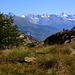 Aussicht im Abstieg bei der Alp Jatz zu den Hochgipfel im Aletschgebiet mit Bietschhorn (3934m), Nesthorn (3821m) und Aletschhorn (4193m).