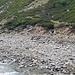Wer sieht die vielen Schafe am Canalbach?