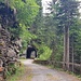 Schluchtenweg nach Zervreila