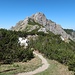 Übergang zur Rohnenspitze: