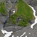 Eine Maserierung im Gestein wie sonst beim Holz.