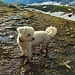 Kaum on the way sieht der kleine Knirps schon aus wie ein Dreckspatz! ;-)