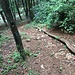 Der steile und rutschige Zustieg zum Klettergarten. Ein (altes) Kletterseil erleichter den Aufstieg/Abstieg.
