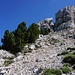 Im Geröllhang unterhalb des Canyon. Auf dem Fels links im Bild steht kaum sichtbar der Sangle du Jardin ausgeschildert.