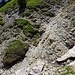 Zweite Runse auf dem Sentier du Jardin