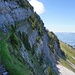 Bald wird die Sicht frei...