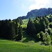 Auf der Anhöhe oberhalb des ersten Grashangs 