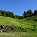 Am Parkplatz unterhalb des Col du Coq - über diesen Wiesenhang geht es aufwärts