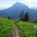 Abstieg über den Südwestgrat mit Blick auf die Chamechaude
