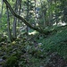 Aufstieg zur Cabane de Jusson